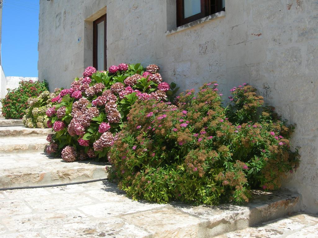 Masseria Montecchie Ceglie Messapica Exterior foto