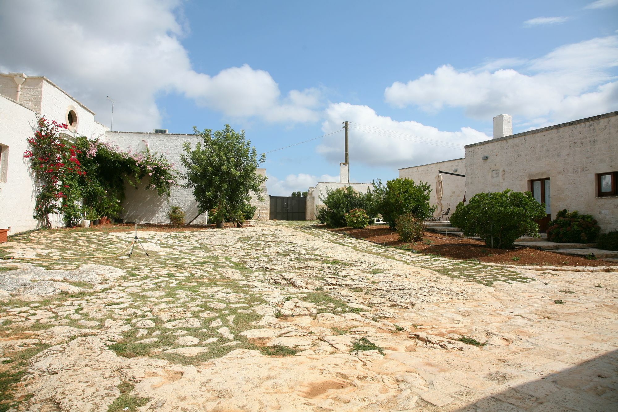 Masseria Montecchie Apartment Ceglie Messapica Exterior foto